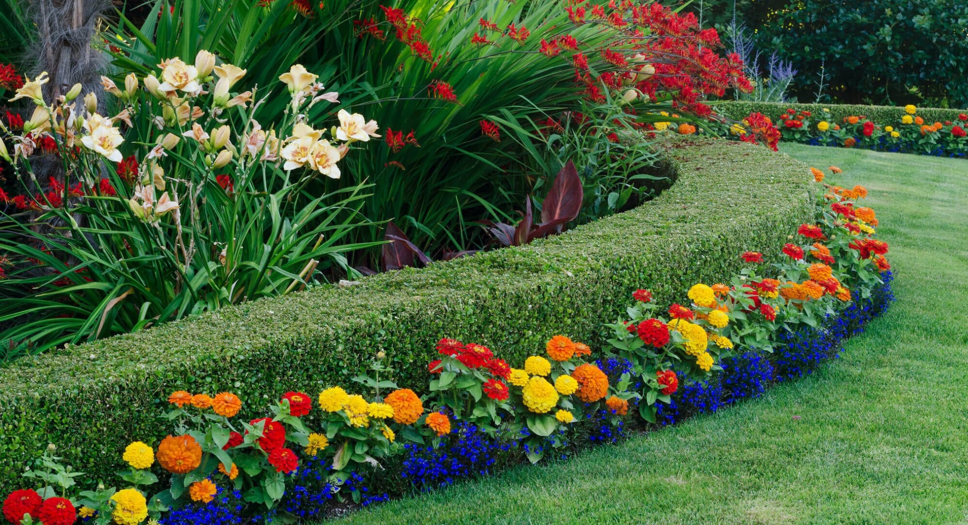 Landscaping Services in Columbia SC