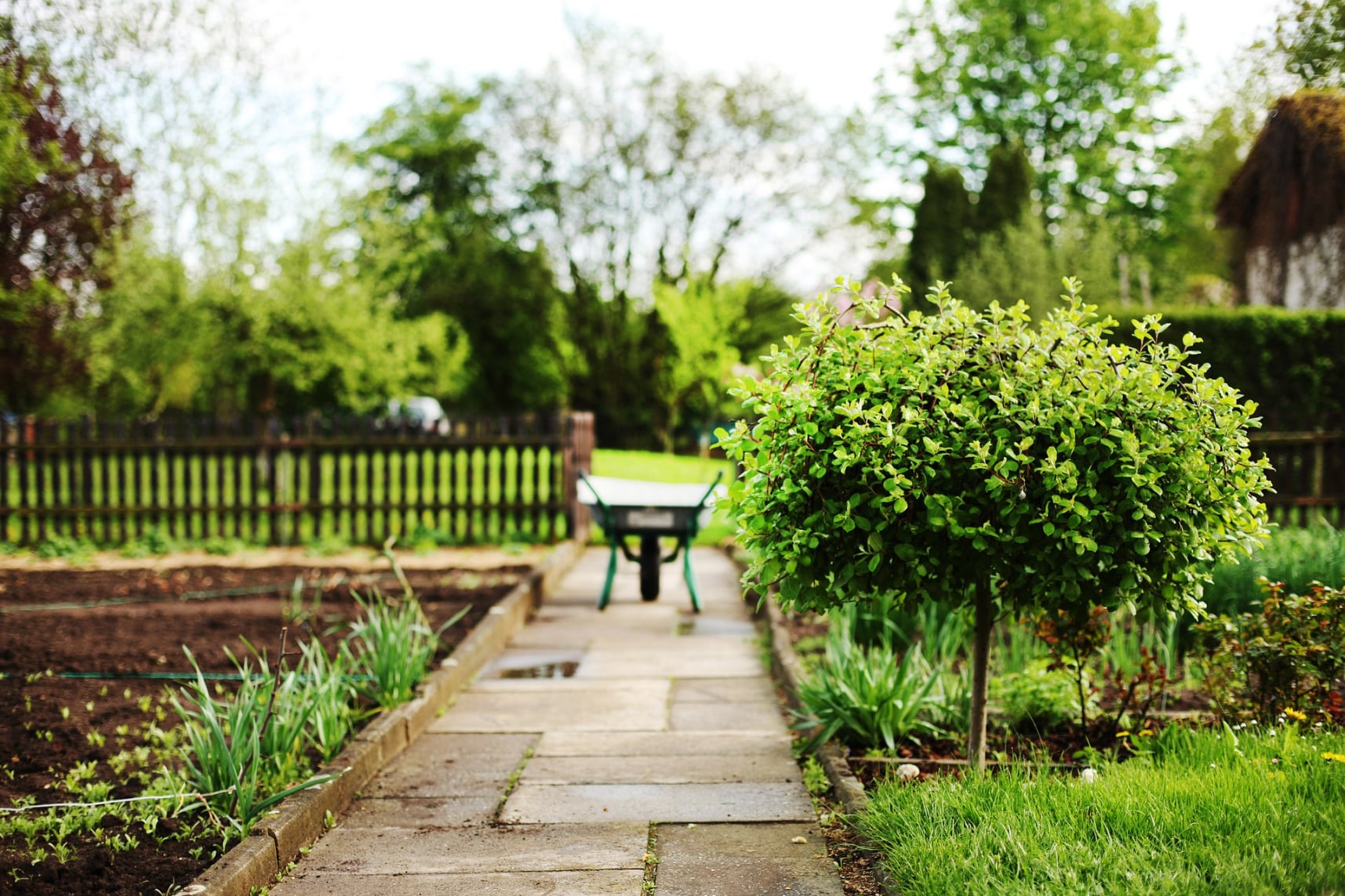 landscaping services