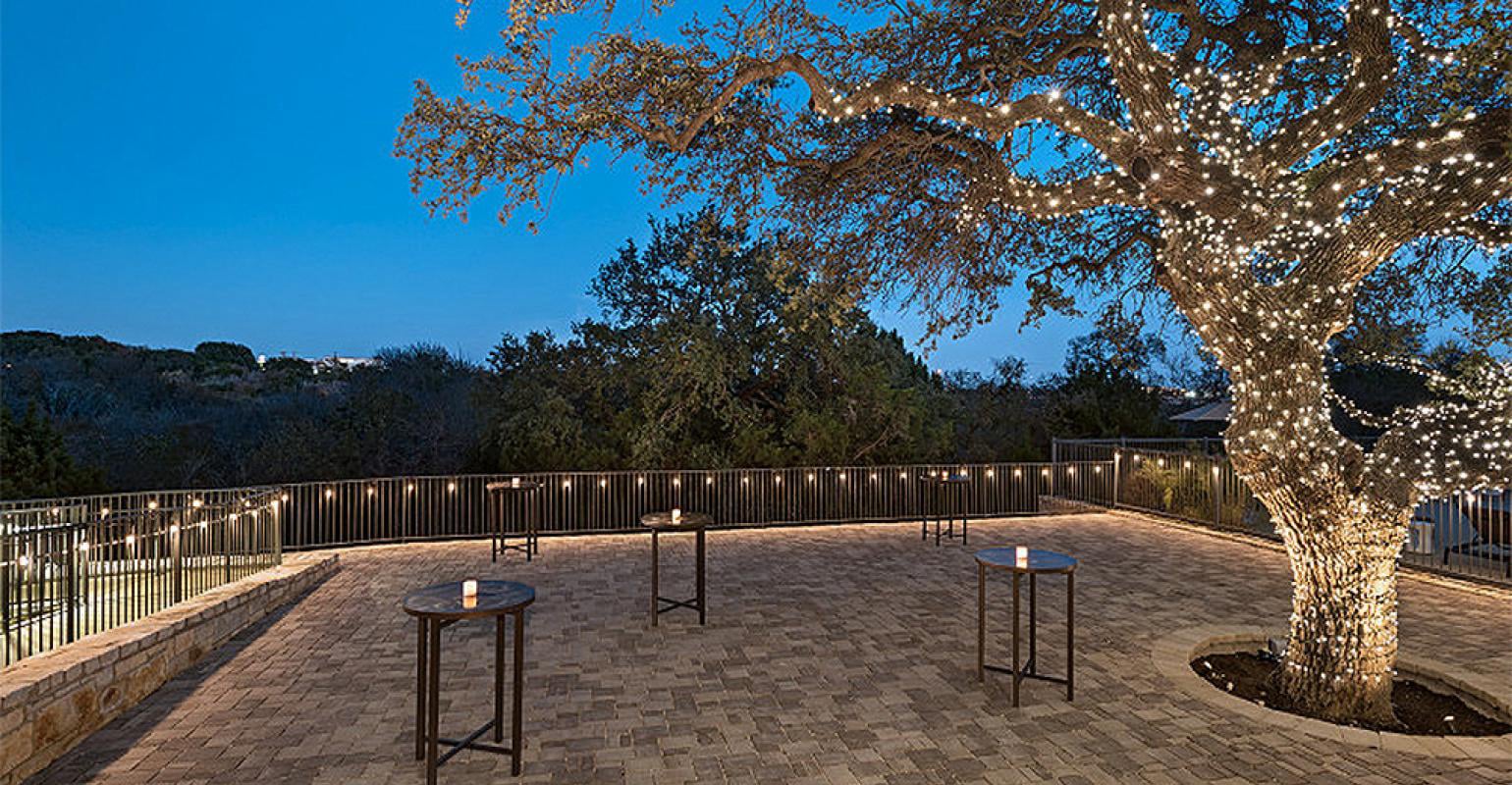 Landscaping Services in Columbia SC