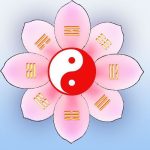 王丽霞-本元民俗论坛
