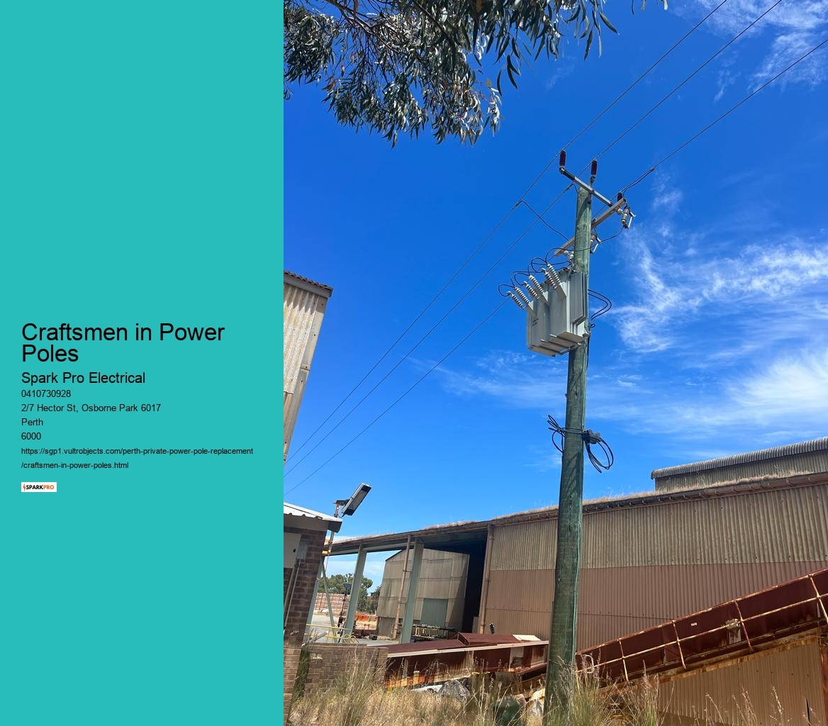 Craftsmen in Power Poles