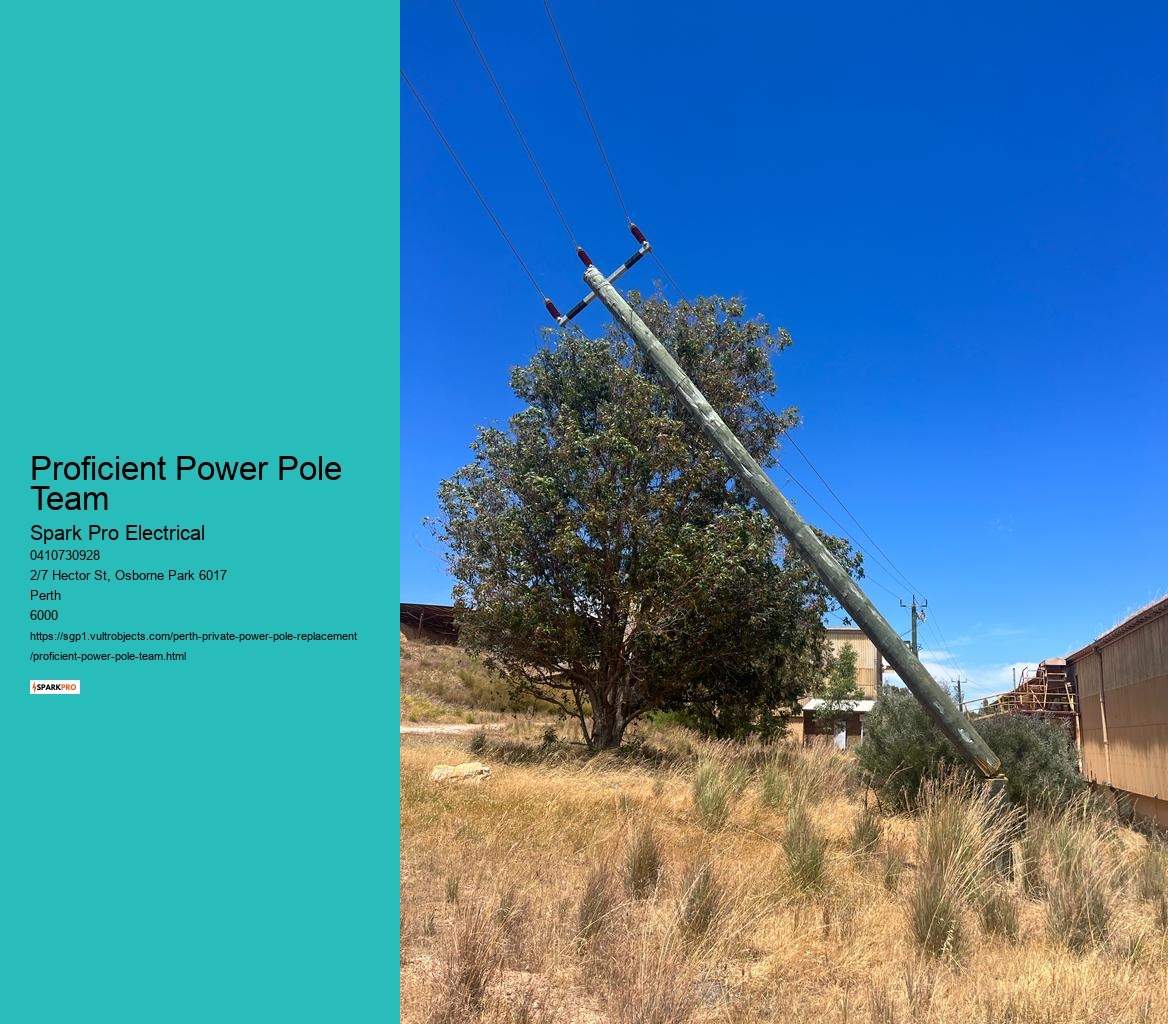 Proficient Power Pole Team