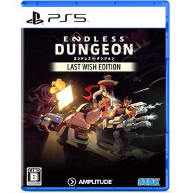 早期購入特典封入 ENDLESS(TM) Dungeon Last Wish Edition PS5 Play Station5 ゲームソフト JAN:4974365837471 ≡A8613