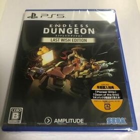 ENDLESS DUNGEON PS5 エンドレス ダンジョン