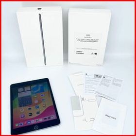 即配【美品】Wi-Fiモデル Apple iPad mini 第5世代 64GB A2133 スペースグレイ 動作確認済 送料無料