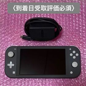 ニンテンドースイッチライト 本体 Nintendo Switch Lite グレー ACアダプター 【本日限定価格】