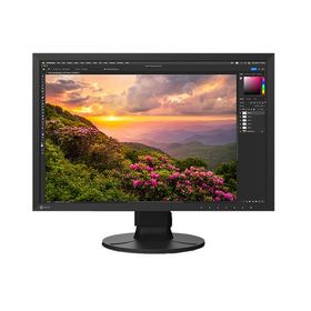 EIZO エイゾー キャリブレーション対応液晶カラーモニター ColorEdge CS2400S-BK