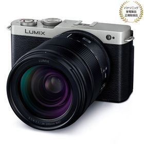 [新品]Panasonic パナソニック LUMIX S9 高倍率ズームレンズキット ダークシルバー(DC-S9H-S)（キャンペーン対象商品）