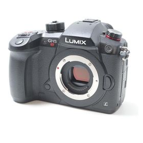 パナソニック Panasonic DC-GH5S ボディ