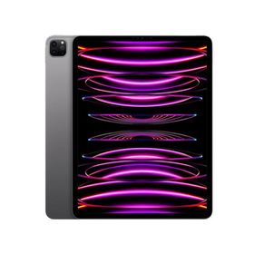 最安値割れ無し　iPad Pro 12.9インチ 第4世代 128GB wifi 12.9インチiPad Pro Wi-Fi 128GB - スペースグレイ（第4世代