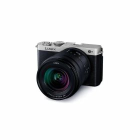 パナソニック ルミックス S9 デジタル一眼カメラ 標準ズームレンズキット デジタルカメラ LUMIX DC-S9K-S ダークシルバー【送料無料】【KK9N0D18P】