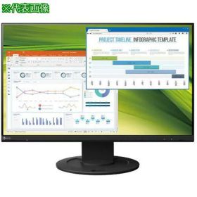 ■AS カラー液晶モニター EV2360-BK 〔品番:4291102〕【3759183:0】[送料別途見積り][掲外取寄][店頭受取不可]