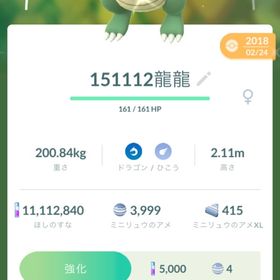 カイリュー