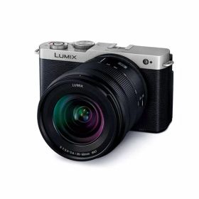 Panasonic デジタル一眼カメラ LUMIX DC-S9K-S 標準ズームレンズキット ダークシルバー