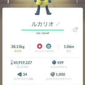 ルカリオ色違い | ポケモンGOの代行、RMTの販売・買取一覧