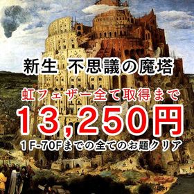 育成代行 不思議の魔塔（新生版）虹フェザー コンプします | ドラクエ10(DQX)の代行、RMTの販売・買取一覧