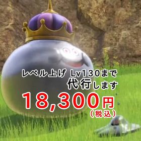 育成代行 レベル上げ レベリング Lv136まで | ドラクエ10(DQX)の代行、RMTの販売・買取一覧