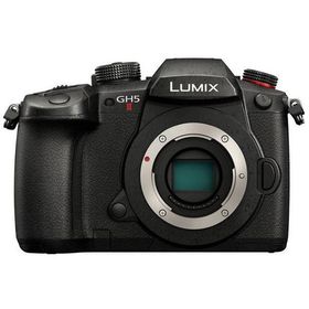 パナソニック LUMIX カメラ ミラーレス一眼カメラ DC-GH5M2 ブラック ボディ Panasonic