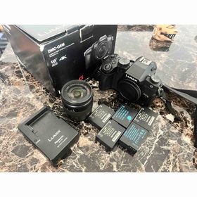 パナソニック(Panasonic)のlumix g8 Panasonic(ミラーレス一眼)