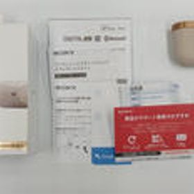 ワイヤレスイヤホン WF-1000XM3 SONY