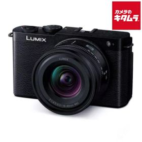 パナソニック LUMIX DC-S9N-K ZLK 広角ズームレンズキット ジェットブラック ルミックス ミラーレス一眼カメラ フルサイズミラーレス 軽量 コンパクト Wi-Fi搭載 《納期約1－2週間》