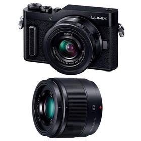 パナソニック ミラーレス一眼カメラ ルミックス GF10 ダブルレンズキット 標準ズームレンズ/単焦点レンズ付属 ブラック DC-GF10W