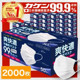 ＼11/30まで限定価格！／ マスク 不織布マスク プリーツマスク 不織布 大人 子供 2000枚 50枚 40箱 小さめ 使い捨てマスク オメガプリーツ ウイルス 花粉 PM2.5 99%カット Sokaiteki Premium 白 ホワイト 送料無料 ss