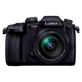 パナソニック デジタル一眼カメラ LUMIX DC-GH5M2M 標準ズームレンズキット