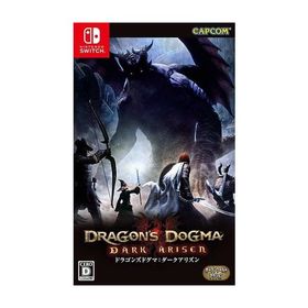 ドラゴンズドグマ:ダークアリズン/Nintendo Switch(NS)/中古/箱・説明書あり