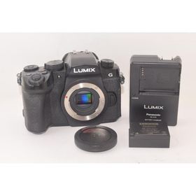 Panasonic パナソニック LUMIX G DC-G99 ボディ ミラーレス一眼カメラ 2503094
