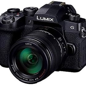 【中古】（非常に良い）パナソニック ミラーレス一眼カメラ ルミックス G99H 高倍率ズームレンズキット 2030万画素 ブラック DC-G99H-K