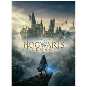 WB GAMES｜ワーナーゲーム ホグワーツ・レガシー【Switch】 【代金引換配送不可】