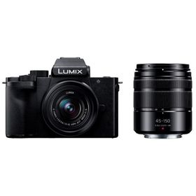 パナソニック デジタル一眼カメラ LUMIX DC-G100DW ダブルズームレンズキット