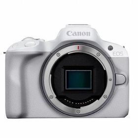 中古 １年保証 美品 Canon EOS R50 ボディ ホワイト