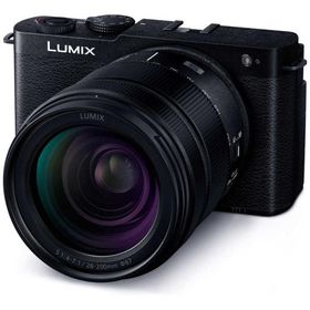 パナソニック Panasonic ミラーレス一眼カメラ LUMIX S9 高倍率ズームレンズキット DC-S9H-K ジェットブラック