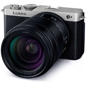 パナソニック Panasonic ミラーレス一眼カメラ LUMIX S9 高倍率ズームレンズキット DC-S9H-S ダークシルバー