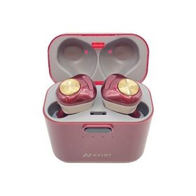 AVIOT◆イヤホン・ヘッドホン TE-D01d mk2-DR [ダークルージュ]//