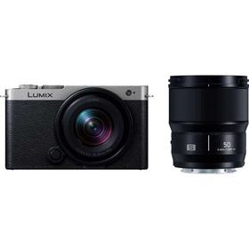 パナソニック フルサイズミラーレス一眼カメラ「LUMIX DC-S9」ダブルレンズキット(ダークシルバー) Panasonic DC-S9W-S 返品種別A