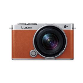 Panasonic（パナソニック） フルサイズミラーレス一眼カメラ/ 広角ズームレンズキット LUMIX（ルミックス） S9 DC-S9N-D