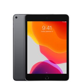 【美品・Bランク】 Apple iPad mini 第5世代 Wi-Fi 64GB スペースグレイ ACアダプターとケーブル付き