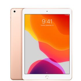 【美品・Aランク】 Apple iPad 10.2インチ 第7世代 Wi-Fi 128GB ゴールド ACアダプターとケーブル付き
