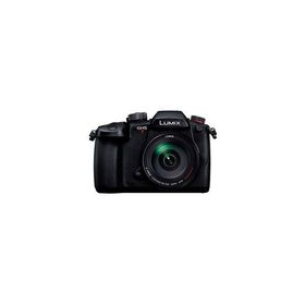 ★Panasonic / パナソニック LUMIX DC-GH5M2H 高倍率ズームレンズキット【デジタル一眼カメラ】【送料無料】