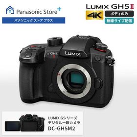 公式店 パナソニック デジタル一眼カメラ DC-GH5M2 ボディのみ