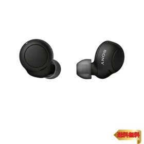 【マラソン最大46倍】ソニー(SONY) 完全ワイヤレスイヤホン WF-C500 : /軽量小型5.4g/高精度通話品質/簡単ペアリング/IPX4防滴性能/ブラック