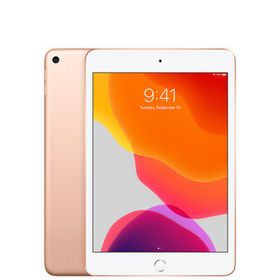 【美品・Aランク】 Apple iPad mini 第5世代 Wi-Fi 64GB ゴールド ACアダプターとケーブル付き