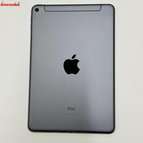 iPad mini 第5世代 256GB スペースグレイ MUXC2J/A Apple版SIMフリー 中古[27901175]