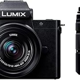 パナソニック(Panasonic) 小型 軽量ミラーレス一眼カメラ ルミックス ダブルズームレンズキット ブラック DC-G100DW-K