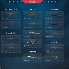 スペシャル値段24時間のみ！！引退垢・サブ用・内部イモ高め・スキンあり | VALORANT(ヴァロラント)のアカウントデータ、RMTの販売・買取一覧