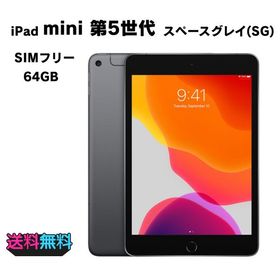 【動作確認・初期化済み】 SIMフリー Apple iPad mini 第5世代 64GB スペースグレイ