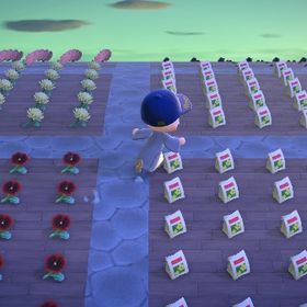 標準取り放題、(素材島、家具島123植物コンプ島)合計5島同時に利用可能 | あつまれ どうぶつの森(あつ森)のアイテム、RMTの販売・買取一覧